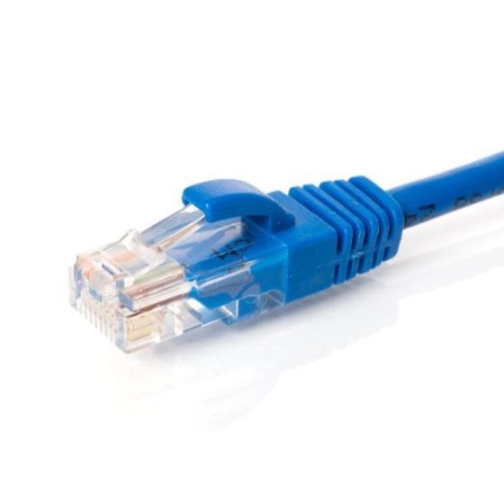 10' CAT 5 Cable