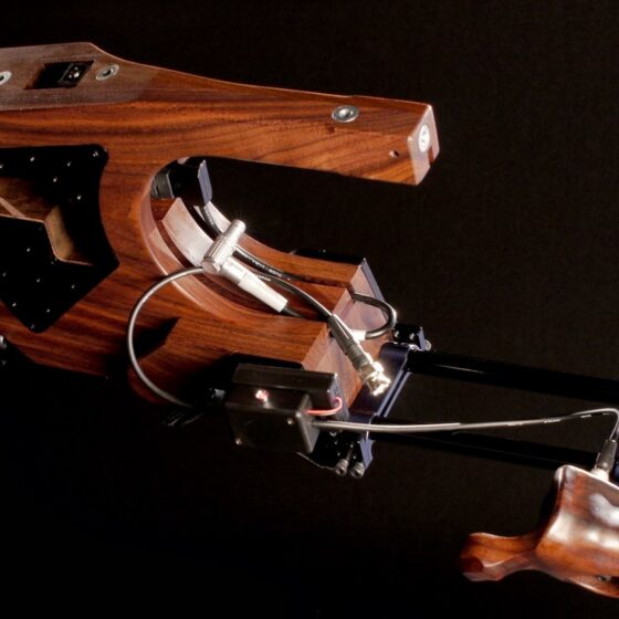 Ergocine Lion Shoulder Mount