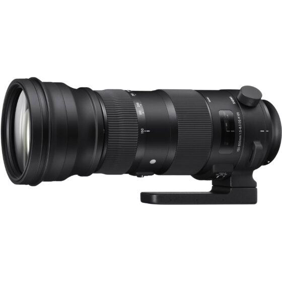 Sigma 150-600mm f/5-6.3